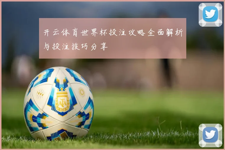 开云体育世界杯投注攻略全面解析与投注技巧分享