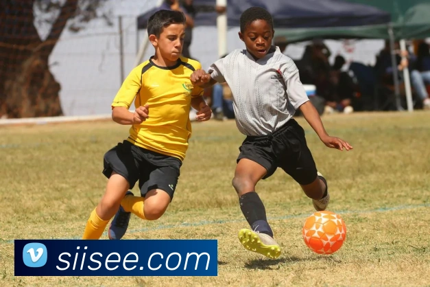 开云appAPP 封面图